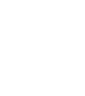 Raidho Acoustics 
